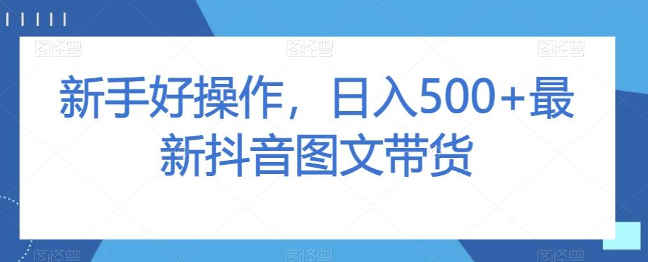 新手好操作，日入500+最新抖音图文带货【揭秘】-网创