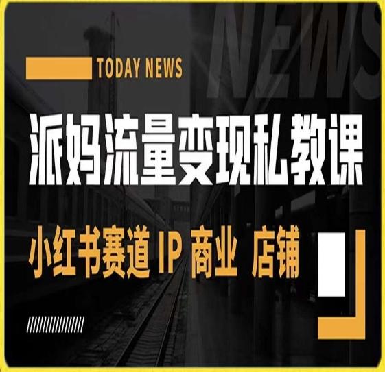 派妈流量变现私教课,小红书赛道IP 商业 店铺 -网创
