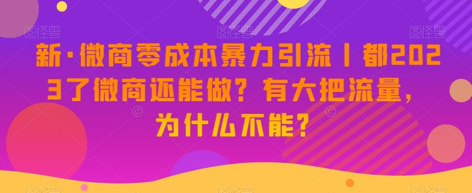 新·微商零成本暴力引流丨都2023了微商还能做？有大把流量，为什么不能？-网创