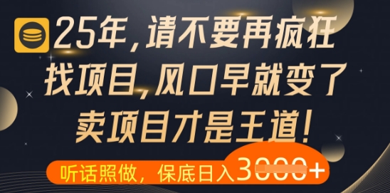 什么？25年你还在疯狂找项目做，醒醒吧，看完这些你全都懂了【揭秘】-网创
