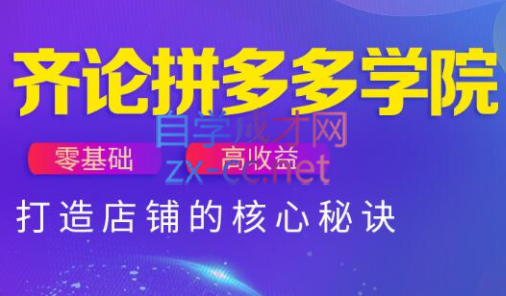 齐论拼多多vip课程-网创