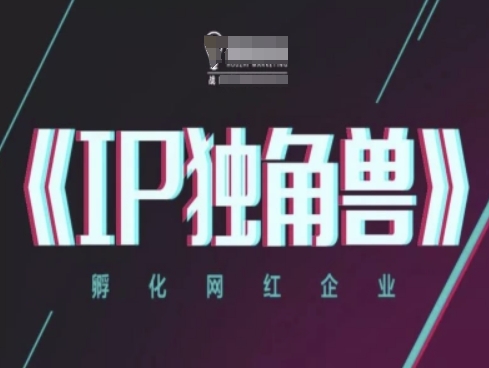 IP独角兽，孵化网红企业，ip教程-网创