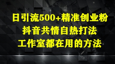日引流500+精准创业粉，抖音共情自热打法，工作室都在用的方法-网创