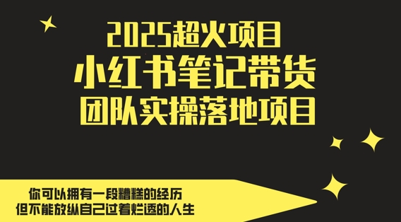 2025超火项目，副业最佳选择，小红书笔记带货团队实操落地项目，，轻松日入5张-网创