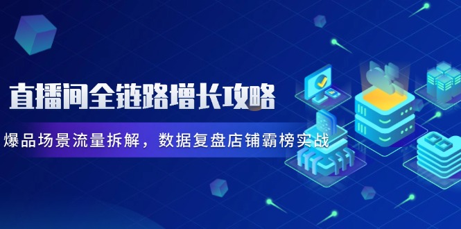 直播间全链路增长攻略，爆品场景流量拆解，数据复盘店铺霸榜实战-网创