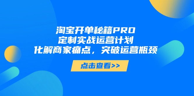 淘宝开单秘籍PRO，定制实战运营计划，化解商家痛点，突破运营瓶颈-网创