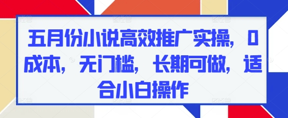 五月份小说高效推广实操，0成本，无门槛，长期可做，适合小白操作-网创