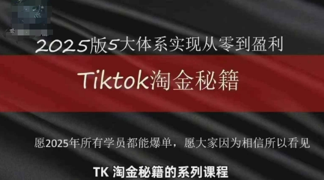 TikTok跨境2025淘金秘籍，​2025TikTok从0到盈利变现-网创