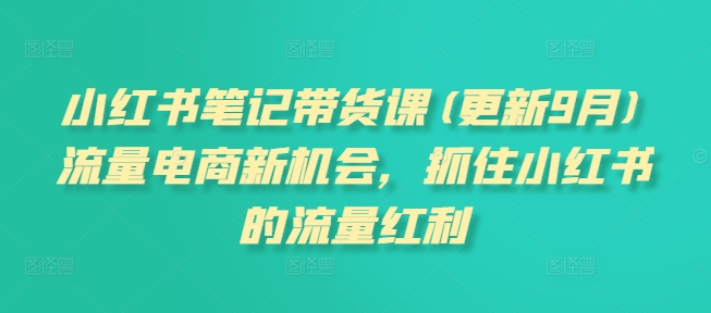 小红书笔记带货课(更新25年4月)流量电商新机会，抓住小红书的流量红利-网创