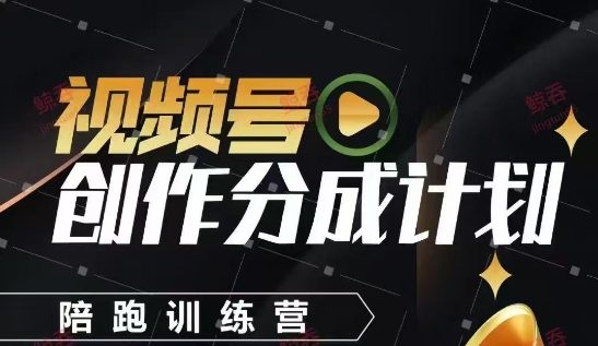 视频号创作分成计划陪跑训练营，手把手教会你如何制作视频，细水长流型项目-网创