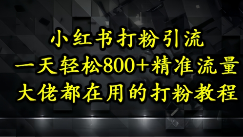 小红书打粉引流，一天轻松500+精准流量，大佬都在用的打粉教程-网创