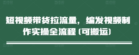 短视频带货拉流量，编发视频制作实操全流程(可搬运)-网创