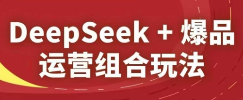 DeepSeek+爆品运营组合玩法，2025淘系精品课-网创