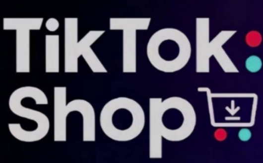 TikTokShop跨境电商0-1实战，手把手教你低成本启动海外市场(更新)-网创