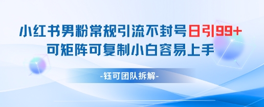 小红书男粉常规引流不封号日引99+变现简单 可矩阵可复制小白容易上手-网创