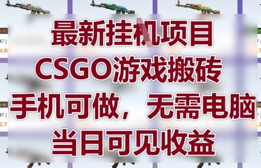 最新挂G项目，CSGO游戏搬砖，手机可做，无需电脑，当日见收益【揭秘】-网创